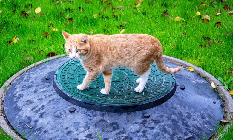 rok za vgradnjo cistilne naprave danes preverite ali vas caka kazen 695572d01cf48 1767207632