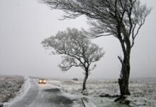 sever evrope v primezu sneznega neurja svedska placala visok davek tudi z zivljenji foto 69518c5e563ce 1766952030