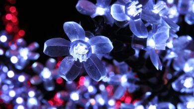 sezana v praznicni svetlobi drsalisce in lucke vabijo 692eaa9c4af14 1764666012