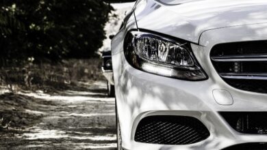 skrita odlagalisca vozil v sloveniji ogrozajo okolje projekt avtogrob odkriva resnico 693d2b1e14b8e 1765616414