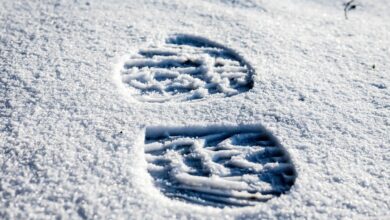 snezna pravljica ali le mraz ohladitev prinasa presenecenja 69468fd3bea65 1766232019