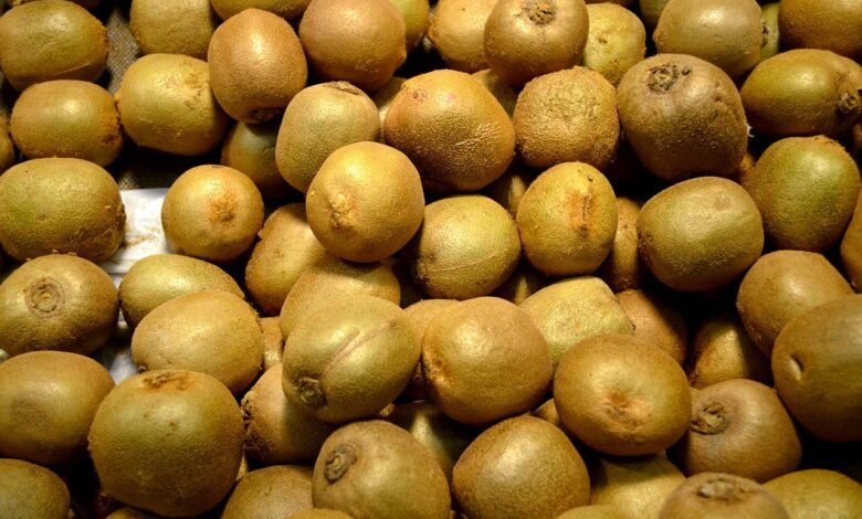 sok v severni makedoniji uvozen srbski kivi poln insektov 694cef170f81d 1766649623