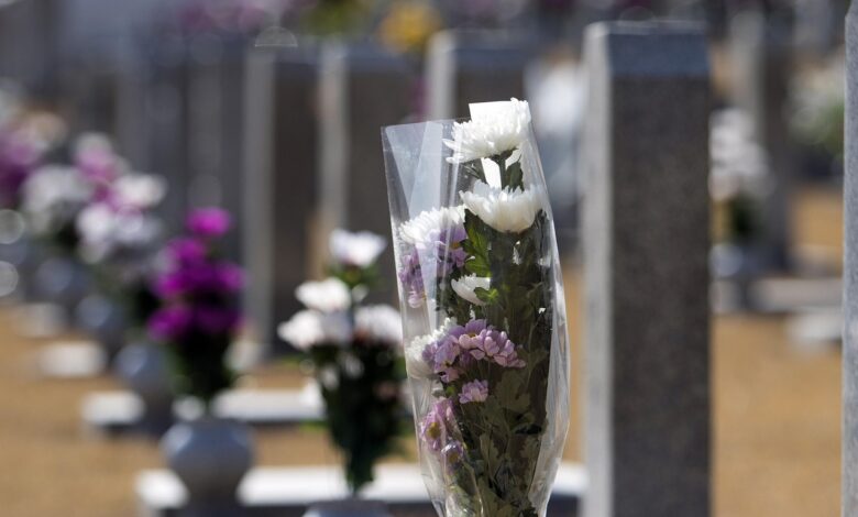 sokantni vandalizem na pokopaliscih v skofijah in plavjah foto 695010adcbd13 1766854829