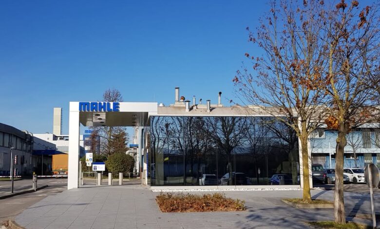 stavka v mahleju zamrznjena kaj prinasa prihodnost za zaposlene 693bd9a6a6e77 1765530022