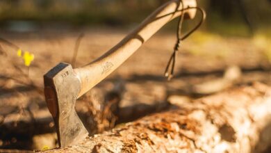 tragicna delovna nesreca v gozdu 68 letnik izgubil zivljenje 693a881dd5112 1765443613