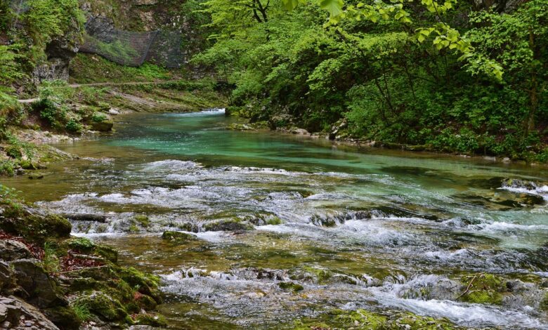 tragicna nesreca na savi sprva so porocali o smrti treh migrantov med preckanjem reke 693ac07932839 1765458041