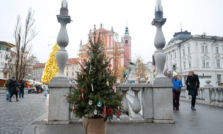 Unikatna praznična drevesa v Ljubljani navdušujejo obiskovalce 1 unikatna praznicna drevesa v ljubljani navdusujejo obiskovalce 693d8d9728e81 1765641623