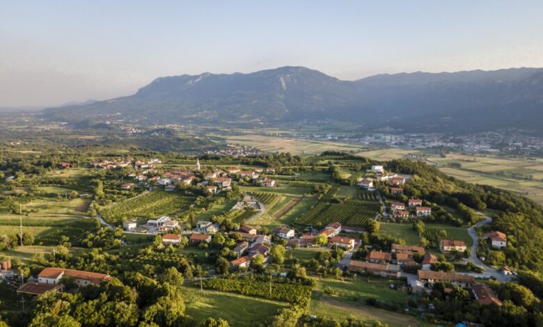 vipavska dolina od lokalne skrivnosti do svetovne turisticne zvezde 6943ecc9a9c0b 1766059209