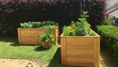 visoke grede v teharju preobrazba vrtnarjenja s subvencijami 693c20677f19c 1765548135