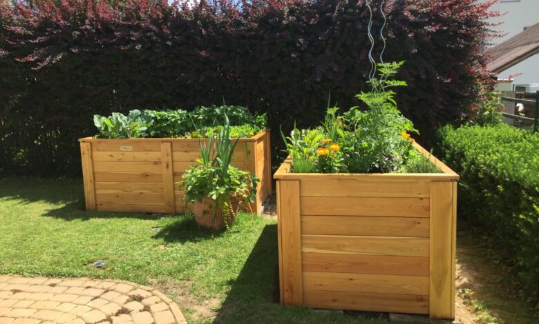 visoke grede v teharju preobrazba vrtnarjenja s subvencijami 693c20677f19c 1765548135