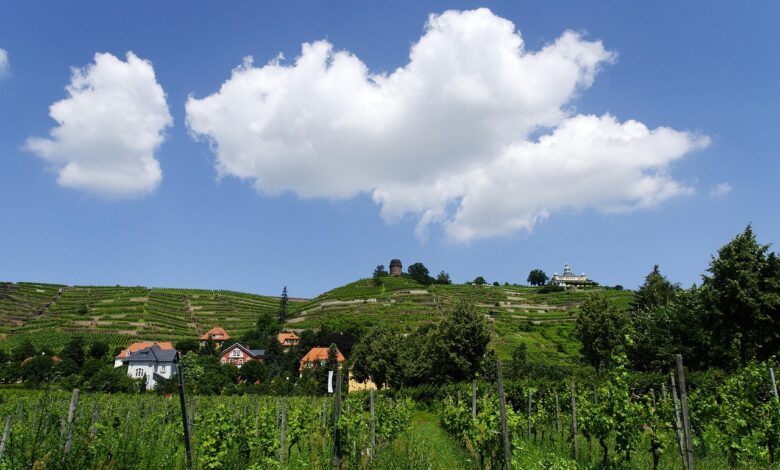 vzorcna naselja za rome kljuc do boljse integracije v sloveniji 69348b65b4498 1765051237