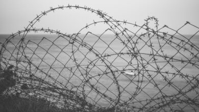 zda ustavile priseljevanje iz 19 po njihovo visoko tveganih drzav 693096d4ee77a 1764792020