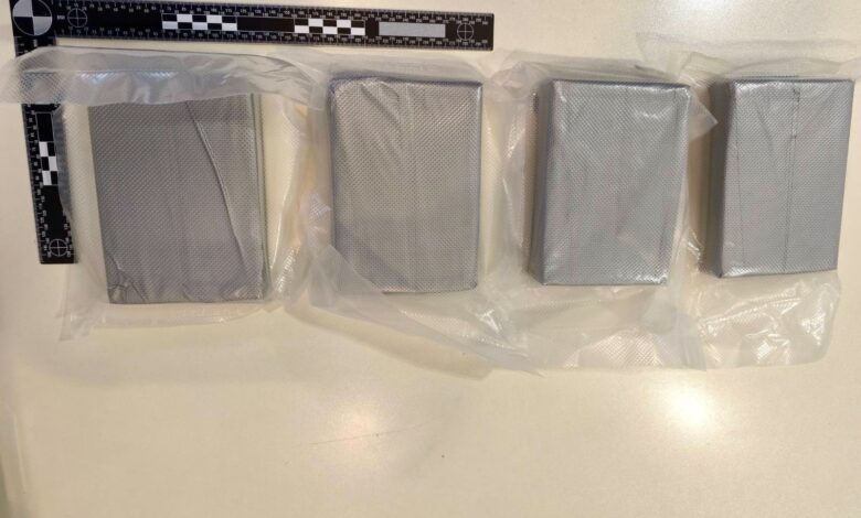 30-letni Srb z dvema kilogramoma heroina ujet v Ljubljani 1 30 letni srb z dvema kilogramoma heroina ujet v ljubljani 696390ce949e0 1768132814