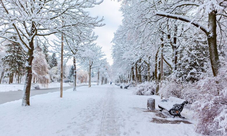 arso opozarja na nevarnost poledice kaksna je pricakovana meja snezenja 6975db99cc7c7 1769331609