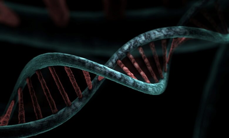 Estonija vodi revolucijo v povezovanju genskih in zdravstvenih podatkov 1 genetics
