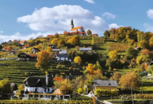 kako je postar spremenil zivljenje gordane dobriha na dolenjskem foto 697e515e0e1fd 1769886046