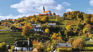 kako je postar spremenil zivljenje gordane dobriha na dolenjskem foto 697e515e0e1fd 1769886046