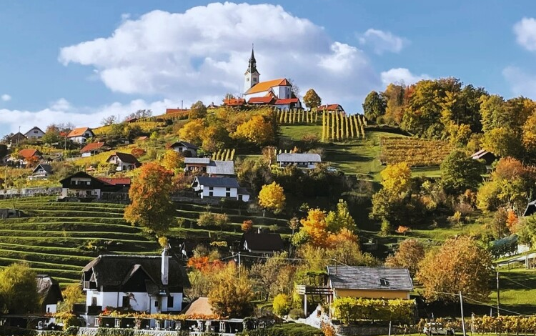 Kako je poštar spremenil življenje Gordane Dobriha na Dolenjskem #foto 1 kako je postar spremenil zivljenje gordane dobriha na dolenjskem foto 697e515e0e1fd 1769886046