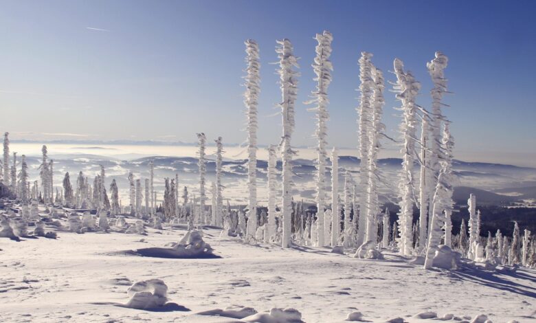 Kako se pripraviti na nizke temperature: Priporočila Nacionalnega inštituta za javno zdravje 1 kako se pripraviti na nizke temperature priporocila nacionalnega instituta za javno zdravje 695d4da6e5851 1767722406