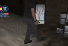 najvecji zaseg kokaina 10 ton skritih med soljo na ladji video 696536aa7a7d4 1768240810