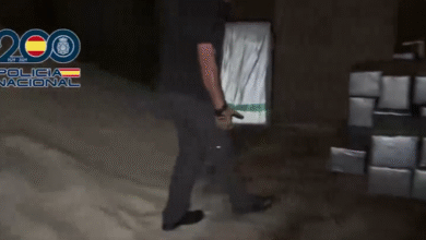 najvecji zaseg kokaina 10 ton skritih med soljo na ladji video 696536aa7a7d4 1768240810