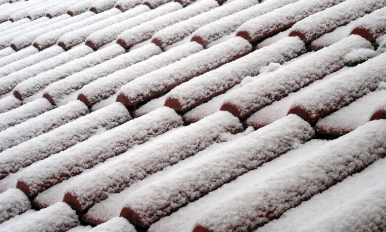 Nevarna streha: Telovadnica na mariborski lesarski šoli zaprta 1 nevarna streha telovadnica na mariborski lesarski soli zaprta 696625e4ac1fb 1768302052