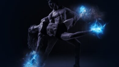 novogoriski svetniki odobrili ustanovitev zavoda za sodobni ples 6967855668c32 1768392022