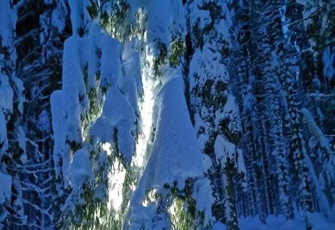 oranzno opozorilo arso mocno snezenje in burja kaksna bo kolicina snega danes 695cdd4e3da2f 1767693646