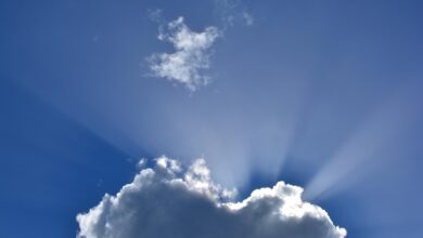 podnebne spremembe leto 2025 med najtoplejsimi v zgodovini 6968ac9c977dc 1768467612