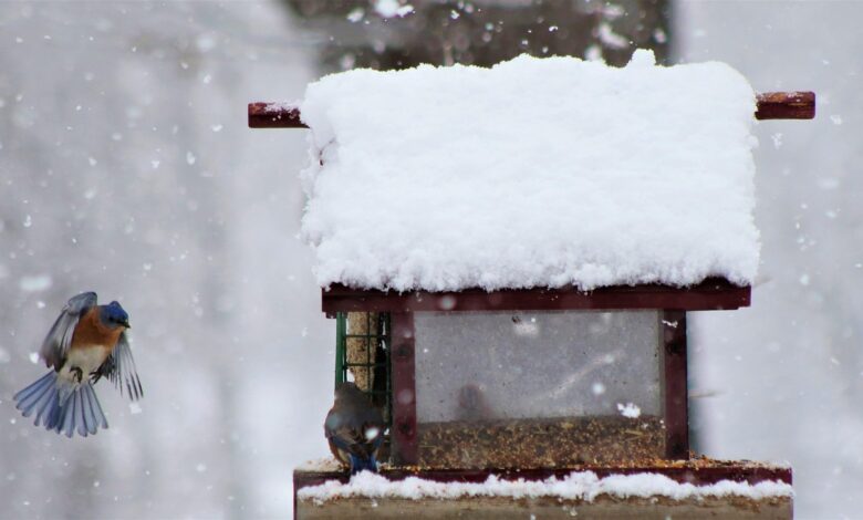 Pripravite se na hud mraz, burjo in novo pošiljko snega, ki je lahko tudi konkretna! 1 pripravite se na hud mraz burjo in novo posiljko snega ki je lahko tudi konkretna 695ab8d1ce81d 1767553233