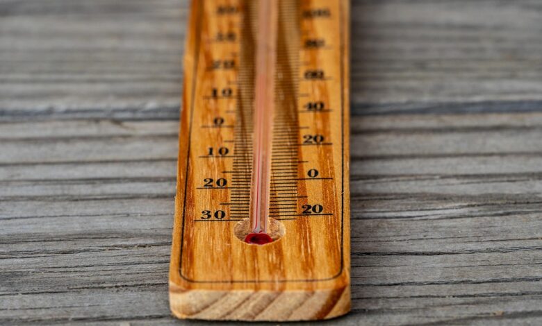 Pripravite se na ledeni četrtek: Temperature se bodo spustile tudi do -20°C!” 1 pripravite se na ledeni cetrtek temperature se bodo spustile tudi do 20c 695e9f270f846 1767808807