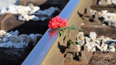 Tragična železniška nesreča v Franciji: Strojevodja izgubil življenje, 27 ranjenih #video 2 rail train accident