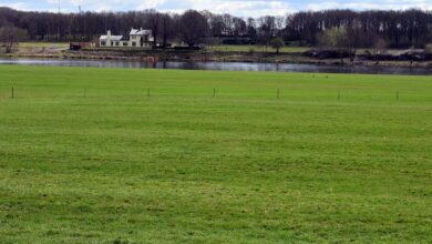 slovenski kmetje v boju za izgubljenih 1 400 hektarjev njiv 695a101514ddf 1767510037