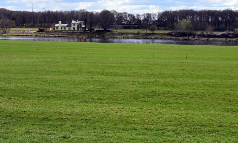 slovenski kmetje v boju za izgubljenih 1 400 hektarjev njiv 695a101514ddf 1767510037