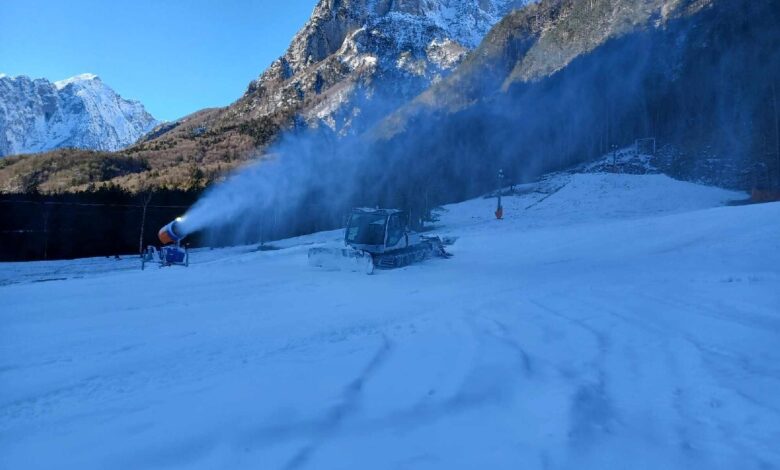 smucisce encijan v logu pod mangartom priprave na pravo zimsko pravljico 695f9c537b25d 1767873619