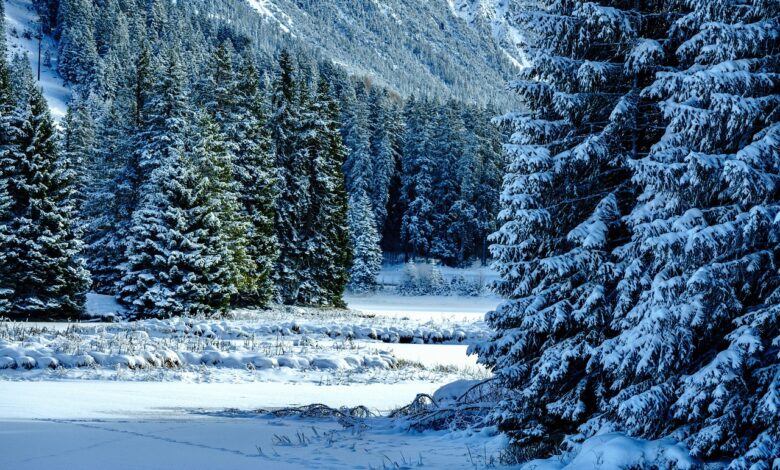 snezni metez sredi tedna pripravite se na vremenske ekstreme 697781a3af233 1769439651