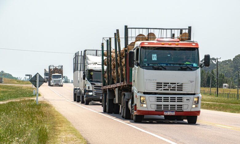 trucks on road