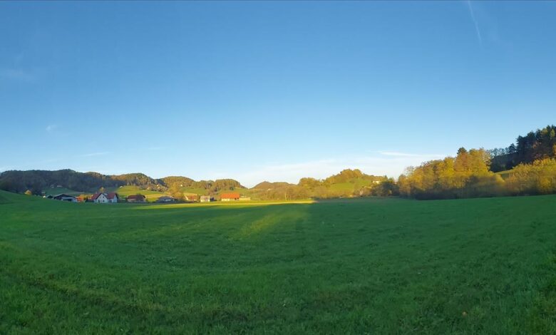 Uprava za veterinarstvo opozarja na širjenje kuge drobnice v regiji 1 uprava za veterinarstvo opozarja na sirjenje kuge drobnice v regiji 697c65294aa0f 1769760041