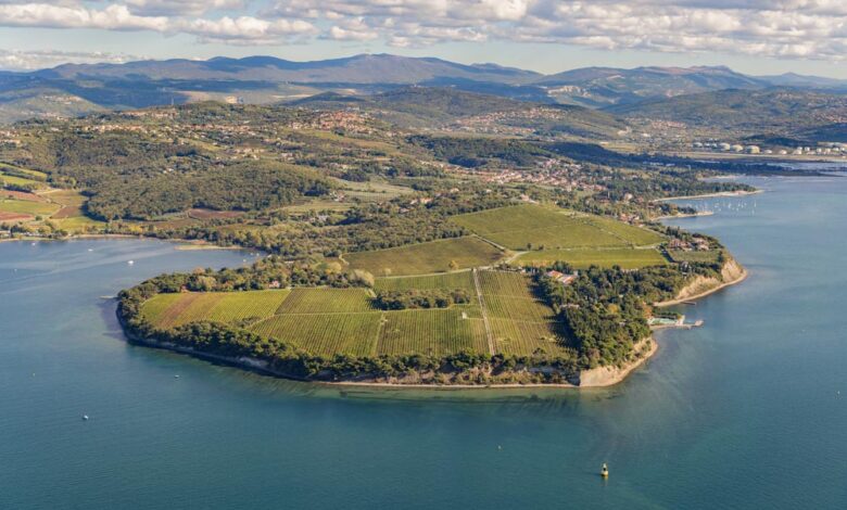 Ankaran potrjuje načrt za ohranitev narave na Debelem rtiču 1 ankaran potrjuje nacrt za ohranitev narave na debelem rticu 69833512d8aff 1770206482