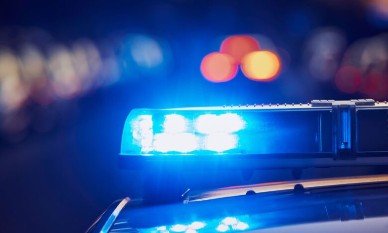 bolgara pred sodiscem zaradi vandalizma na koprskih grobovih 699ee480e036f 1772020864