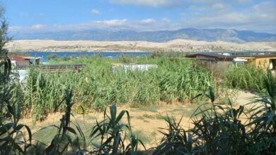 dalmatinski kraj se sooca s sporom zaradi slovenskega investitorja na otoku pag foto 69908e00d31f5 1771081216