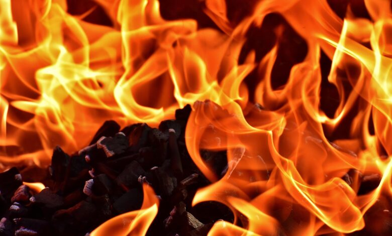 Jabolčni sok kot junak: Nenavadno gašenje požara v Kopru 1 jabolcni sok kot junak nenavadno gasenje pozara v kopru 6981e3728f708 1770120050