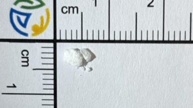 kokain v urinu triletne deklice materi grozi zapor 69a019d0052d1 1772100048