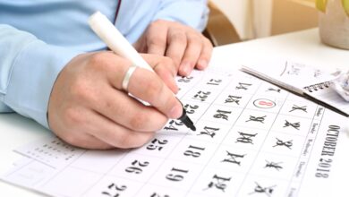 levica predlaga zakon za enako stevilo prostih dni vsako leto 6987377705a4d 1770469239