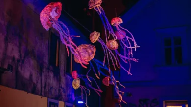 ljubljana v barvah ljubezni napoved luv festa 2026 6985c9ce02279 1770375630