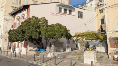 piranska lepotica znova v srediscu pozornosti foto 699f0e9bd569f 1772031643