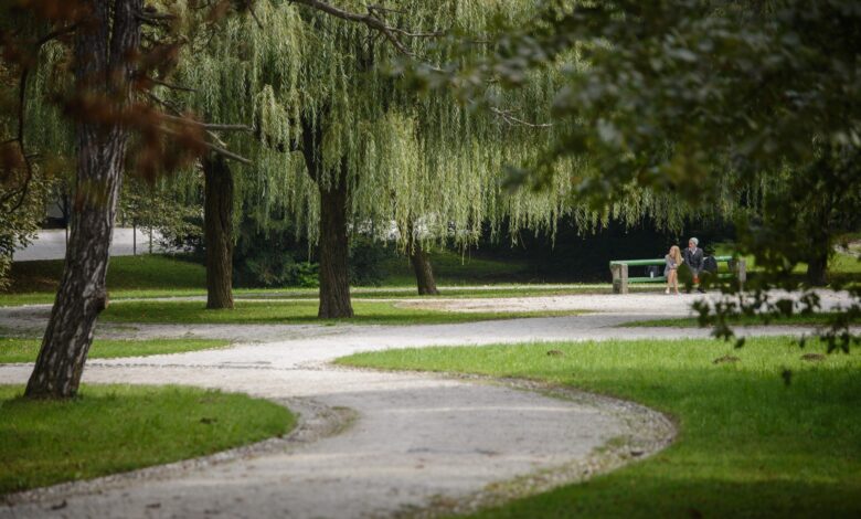 Primož Koman na sodišču zaradi domnevnega požiga na Rožniku 1 primoz koman na sodiscu zaradi domnevnega poziga na rozniku 69a07c1e2c838 1772125214