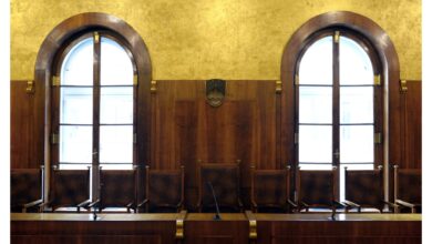 sds in nsi izpodbijata zakon o dolgotrajni oskrbi na ustavnem sodiscu 6998bd59e37ea 1771617625