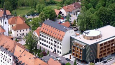 skrite nevarnosti v topliskih gozdovih vojni ostanki sokirajo lokalce 699ad3c6332ba 1771754438