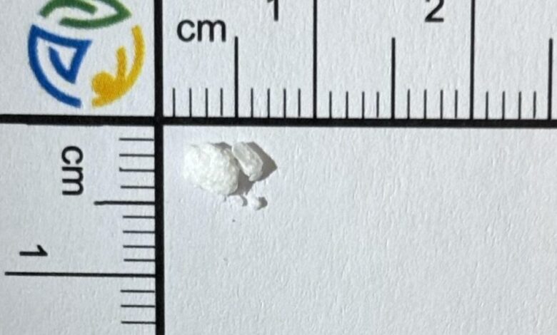 sokantno odkritje ljubljanski kokain vsebuje zdravilo za gliste 69a05203356bd 1772114435